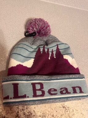 NEW ❤️LL BEAN HAT Beanie in Gray, Light Blue and Purple